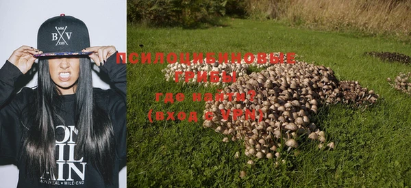 прущая мука Алзамай