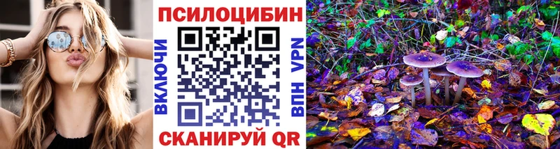 Галлюциногенные грибы Psilocybe Жердевка